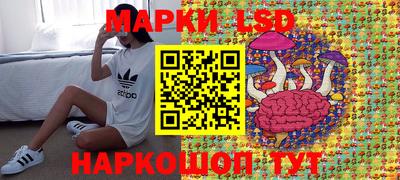 Альфа ПВП Гусев