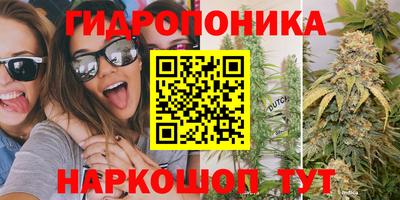 Альфа ПВП Гусев