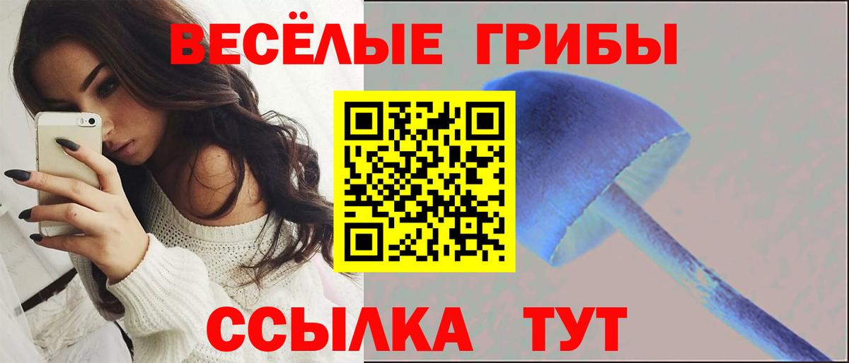 Псилоцибиновые грибы GOLDEN TEACHER Новокубанск